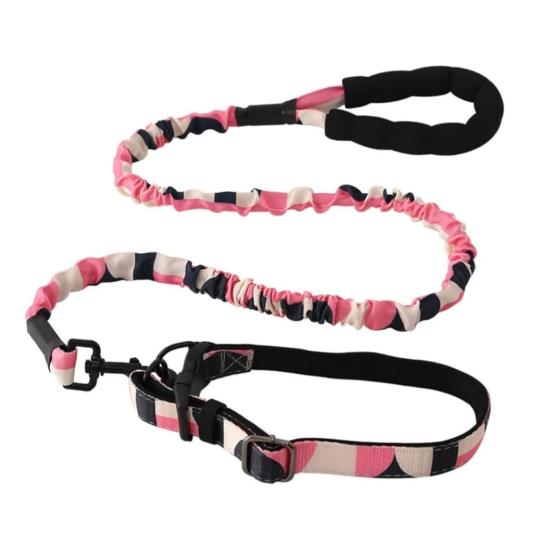 Smycz z obrożą róż beż grafit