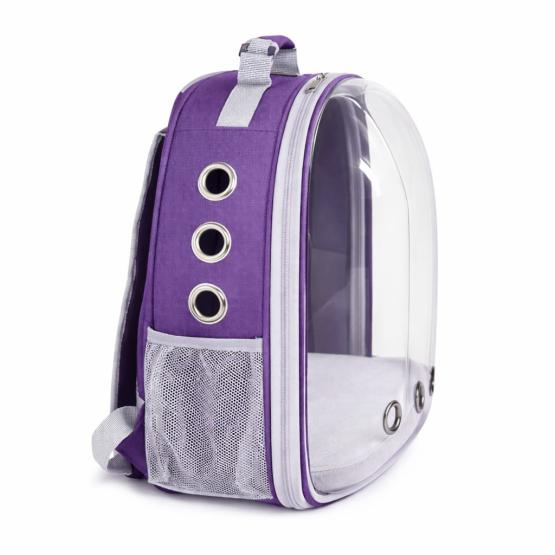 Transporter plecak przezroczysty fioletowy