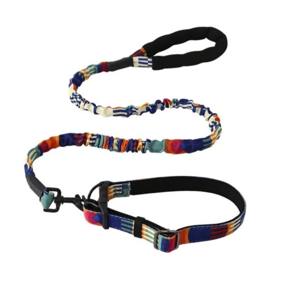 Smycz z obrożą granat fuksja beż