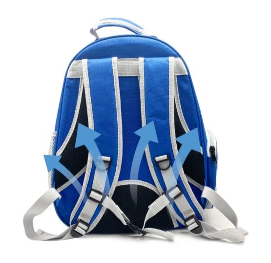 Transporter plecak przezroczysty niebieski