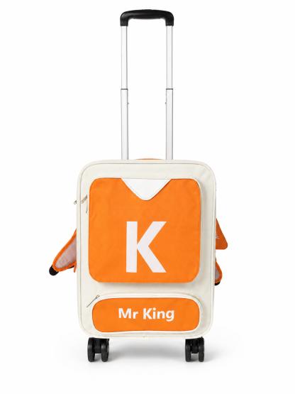 Transporter dla zwierząt walizka MR KING (1)