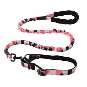 Obrazek dla: Smycz z obrożą róż beż grafit