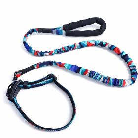 Obrazek dla: Smycz z obrożą zieleń fiolet czerwień