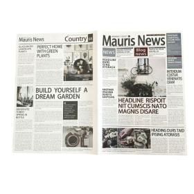 Obrazek dla: Papier 50x70 do pakowania kwiatów 