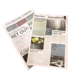 Obrazek dla: Papier 50x70 do pakowania kwiatów