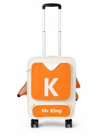 Obrazek dla: Transporter dla zwierząt walizka MR KING